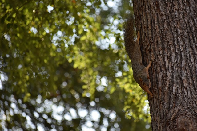 中国足球之 中国足球之