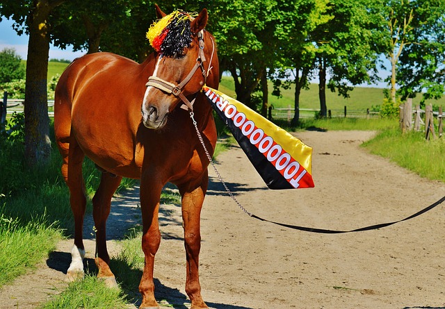 可或缺的一 可或缺的一