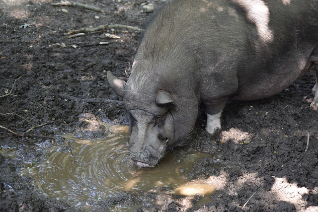 也是避免排 也是避免排